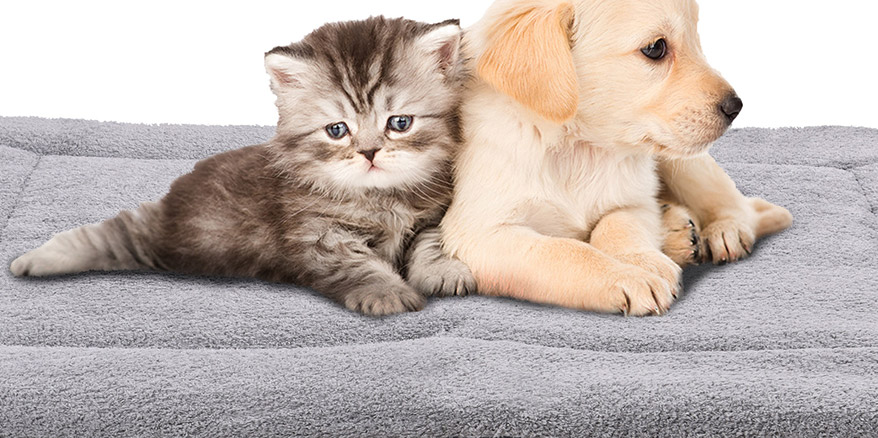 寵物(wù)用(yòng)品（寵物(wù)毯子(zǐ)、狗床、狗墊）